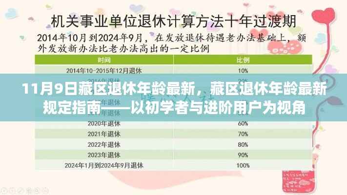 藏区退休年龄最新规定指南,从初学者到进阶用户的视角解析(11月9日更新)