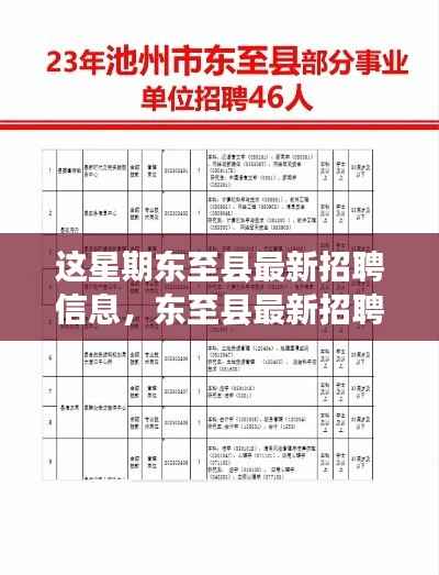 东至县最新招聘信息,与自然共舞,启程寻找内心的宁静之旅招聘启事