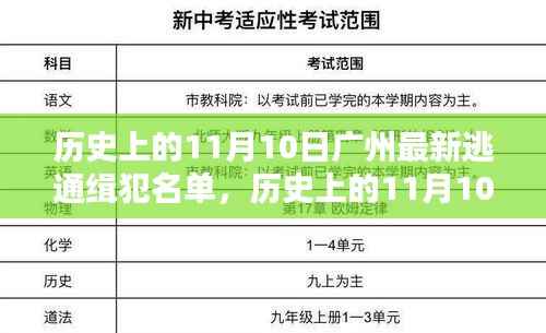 历史上的11月10日广州逃犯名单揭秘,最新通缉犯名单曝光