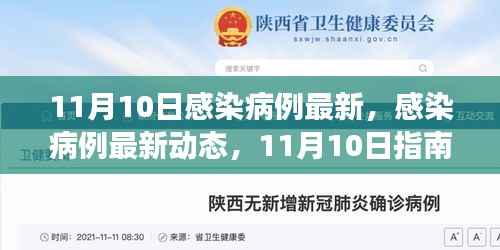 11月10日感染病例最新动态,获取准确信息及应对技能的指南