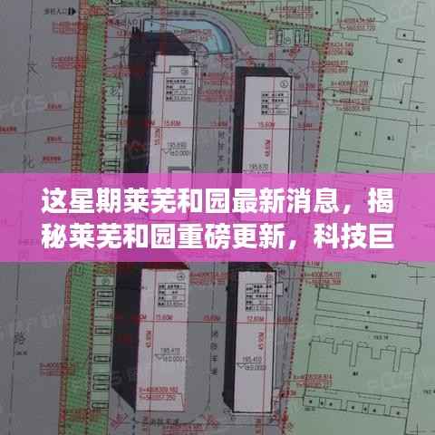 初告白 第30页