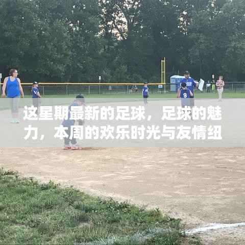 本周足球盛宴,魅力、欢乐与友情交织的足球时光