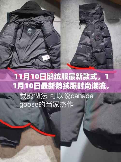 探索最前沿时尚潮流,鹅绒服最新设计与款式尽在11月10日