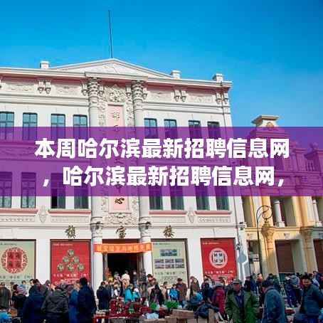时代脉搏下的招聘风向标,本周哈尔滨最新招聘信息网汇总