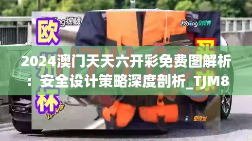 2024澳门天天六开彩免费图解析:安全设计策略深度剖析_TJM857.43经济版