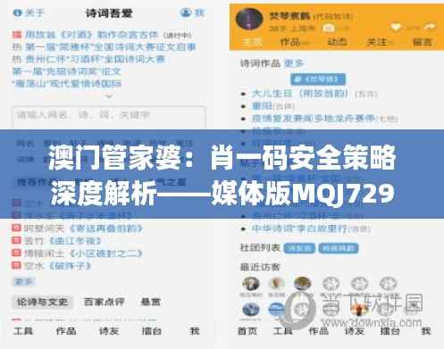 澳门管家婆:肖一码安全策略深度解析——媒体版MQJ729.88