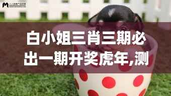 白小姐三肖三期必出一期开奖虎年,测试评估_简易版PEX762.61