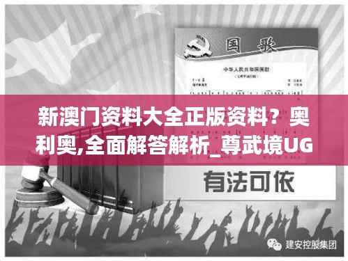 新澳门资料大全正版资料?奥利奥,全面解答解析_尊武境UGB800.66