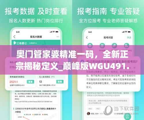 奥门管家婆精准一码,全新正宗揭秘定义_巅峰版WGU491.39