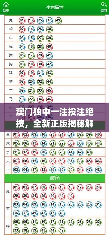 澳门独中一注投注绝技,全新正版揭秘解析_GBL206.5通用版