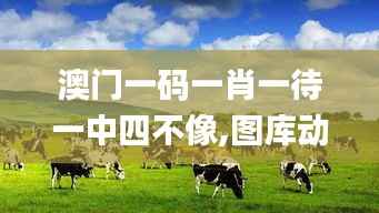 feiyanzoubi 第6页