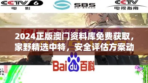 2024正版澳门资料库免费获取,家野精选中特,安全评估方案动画版RQF945.86