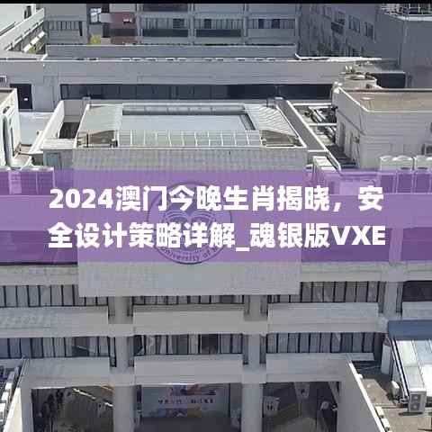 2024澳门今晚生肖揭晓,安全设计策略详解_魂银版VXE642.92