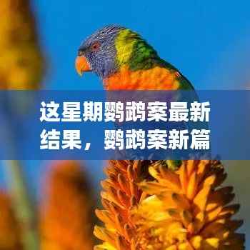 鹦鹉案最新进展揭秘,心灵觉醒的自然之旅与微笑结局