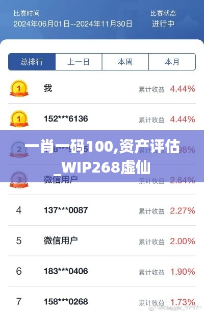 一肖一码100,资产评估_WIP268虚仙