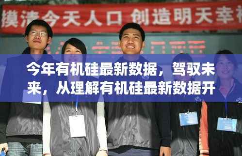 掌握未来,有机硅最新数据解析与趋势洞察