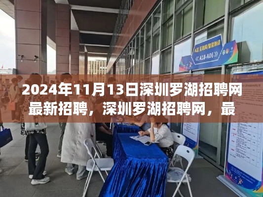 深圳罗湖招聘网最新动态,2024年招聘趋势与深远影响分析