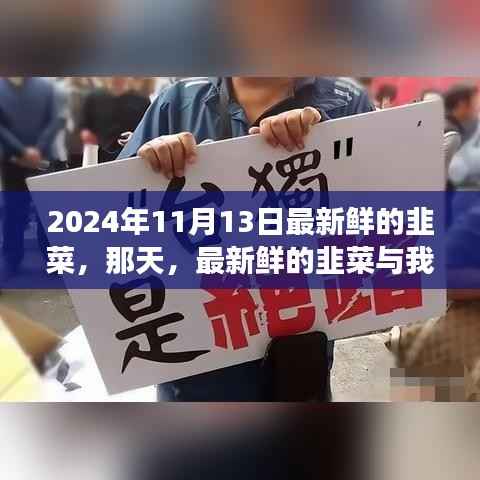 森久 第24页