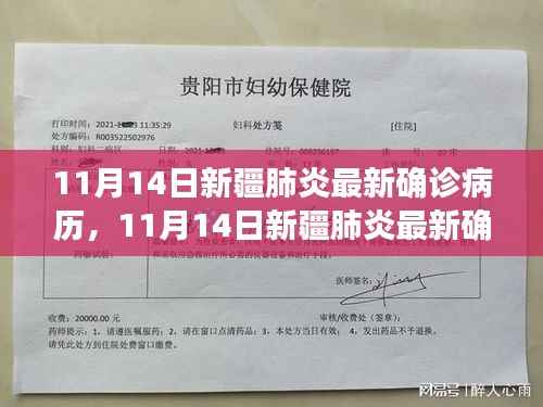 新疆肺炎最新确诊病历动态分析与更新(11月14日)