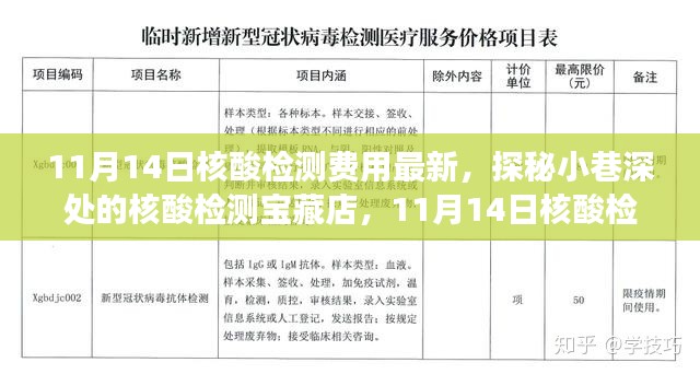 探秘核酸检测宝藏店,揭秘最新核酸检测费用新鲜事(11月14日更新)