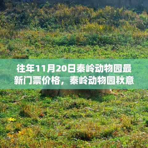 秦岭动物园秋意浓时启幕,探寻自然美景之旅与最新门票价格发布!