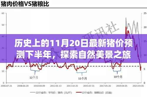 神采奕奕 第15页