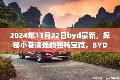探秘小巷深处的独特宝藏,BYD最新隐藏版特色小店揭秘(2024年11月22日)