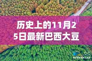 探寻自然秘境,巴西大豆与心灵之旅的交汇点——历史上的最新巴西大豆报道
