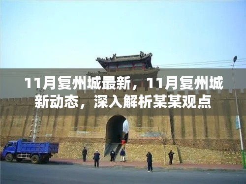 11月复州城深度观察,最新动态与某某观点解析