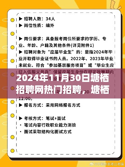 塘栖招聘网热门招聘日,寻找人才的热潮涌动在塘栖招聘网,2024年11月30日盛大开启!