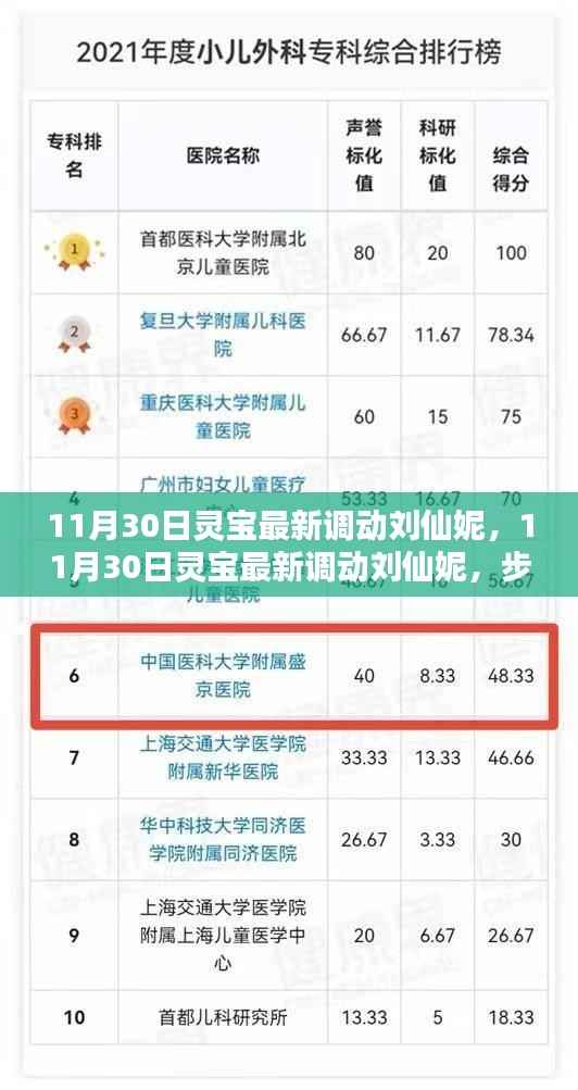 揭秘灵宝最新人事调动,刘仙妮的晋升之路与技能学习指南