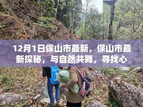 花开无言 第12页