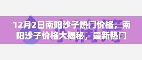 南阳沙子最新热门价格揭秘,12月2日报价大放送