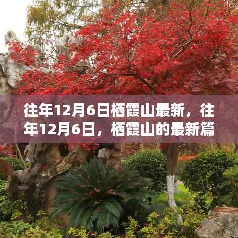 往年12月6日栖霞山深度解析,历史、事件与地位的新篇章