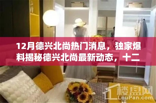 独家爆料,德兴北尚十二月最新动态揭秘,震撼消息一网打尽!
