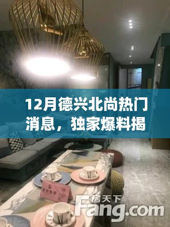 独家爆料,德兴北尚十二月最新动态揭秘,震撼消息一网打尽!