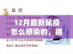 揭秘最新鼠疫感染途径与预防措施,预防胜于恐慌