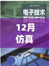 仿真之路,实时启航,迎接自信与成就感的魔法时刻——十二月仿真需求解析