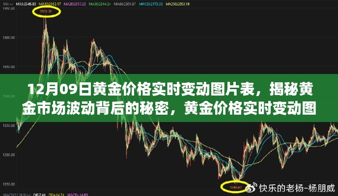 揭秘黄金市场波动背后的秘密,黄金价格实时变动深度解析(附12月09日图表)