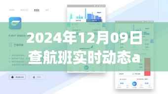 探秘航班实时动态小天地,2024年12月9日的奇妙航班查询之旅