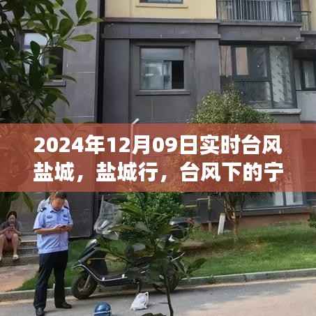 tangtangzhengzheng 第5页