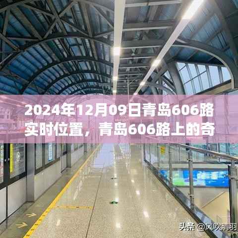 青岛606路,奇遇与温情的陪伴之旅(实时位置更新)
