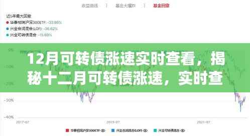 揭秘十二月可转债涨速,实时查看与深度解读报告