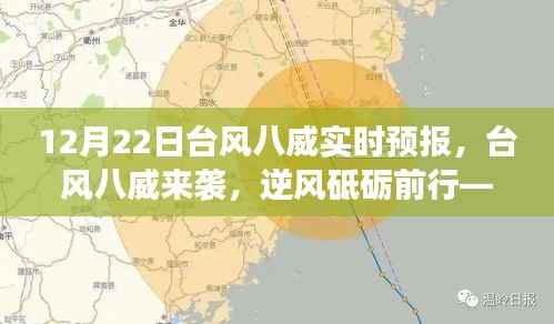 台风八威来袭,逆风砥砺前行,实时预报与学习成长之旅