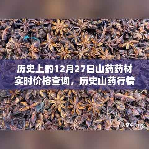 十二月二十七日山药药材之旅,历史实时价格查询与行情揭秘,探寻内心平静的旅程