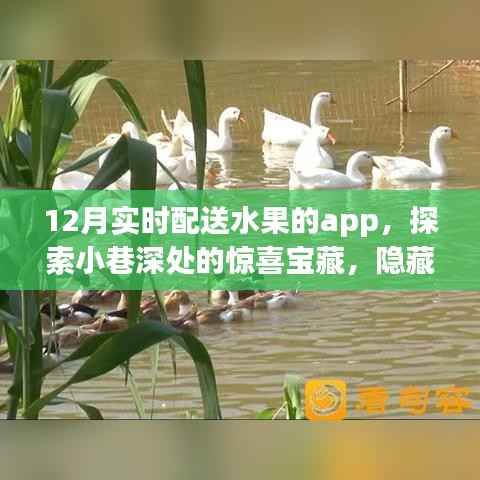 探索小巷深处的鲜果宝藏,12月实时配送水果APP惊喜上线