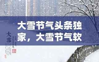 大雪节气头条独家,大雪节气软文