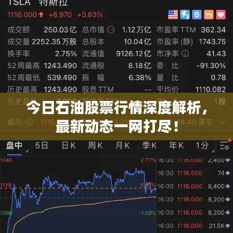 今日石油股票行情深度解析,最新动态一网打尽!
