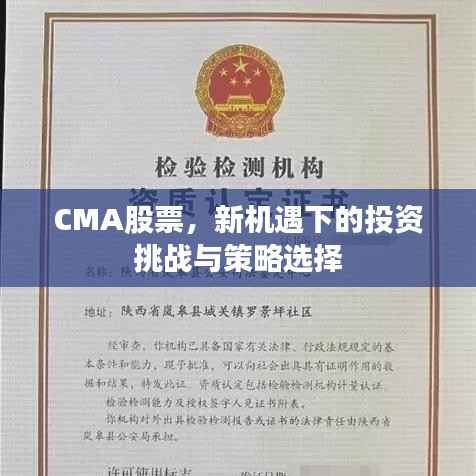 CMA股票,新机遇下的投资挑战与策略选择