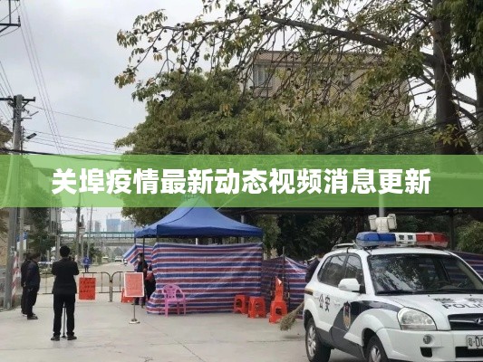 关埠疫情最新动态视频消息更新